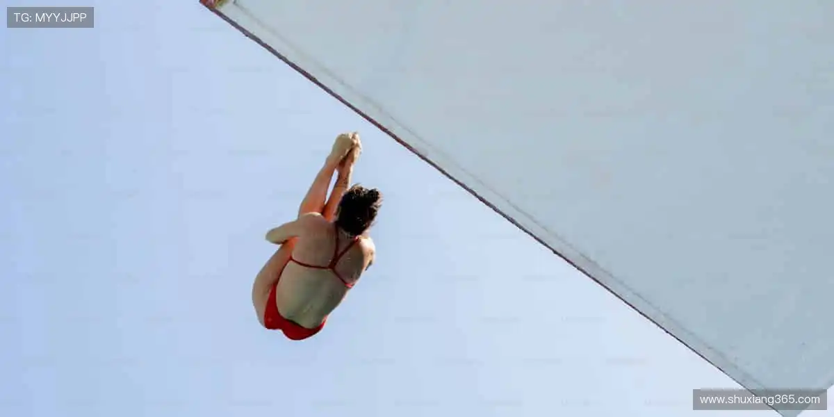 ⚡️ 速度与激情碰撞，